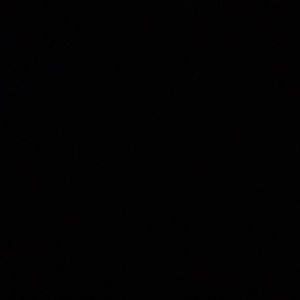 Meet your Posher, Timmy